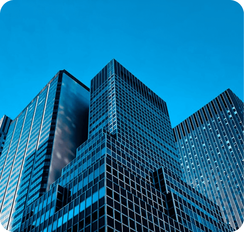 Borderless Reach, Local Expertise